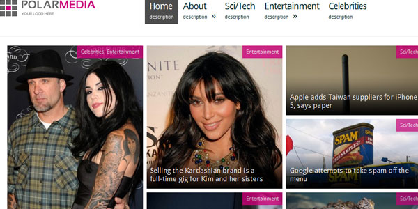 Polar Media Magazine WordPres Theme